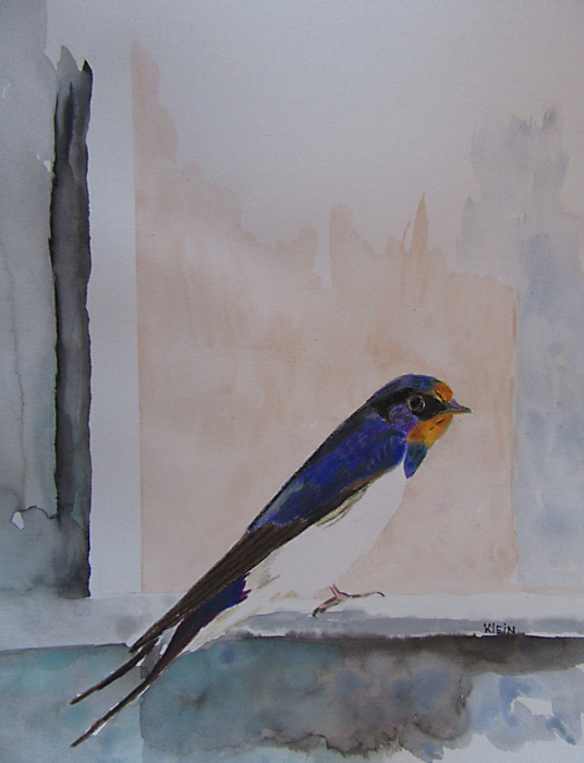 Swallow / colored pencil and watercolor on paper 11 x 14 framed / $125.00